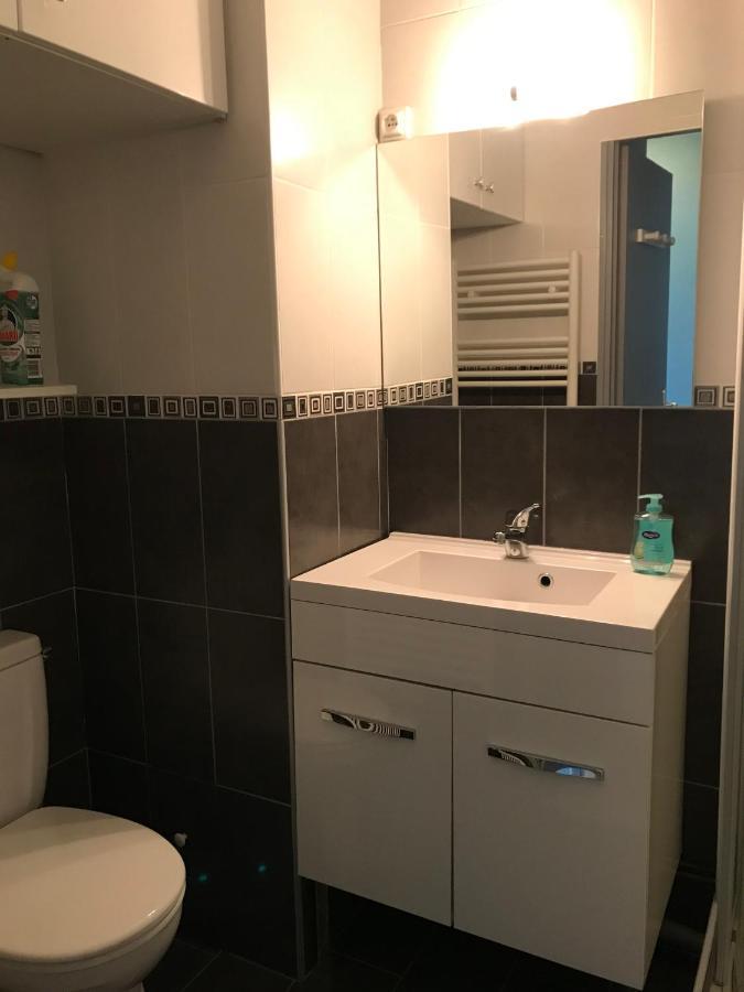 Appartement 4 Personnes Au Pied Des Pistes ラ・ピエール・サン・マルタン エクステリア 写真
